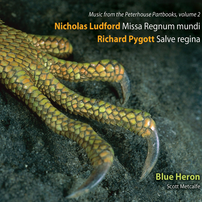 Votive antiphon: Salve regina | Blue Heron