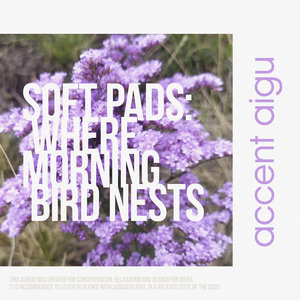 Soft Pads: Where Morning Bird Nests cover