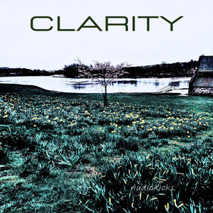 Clarity cover
