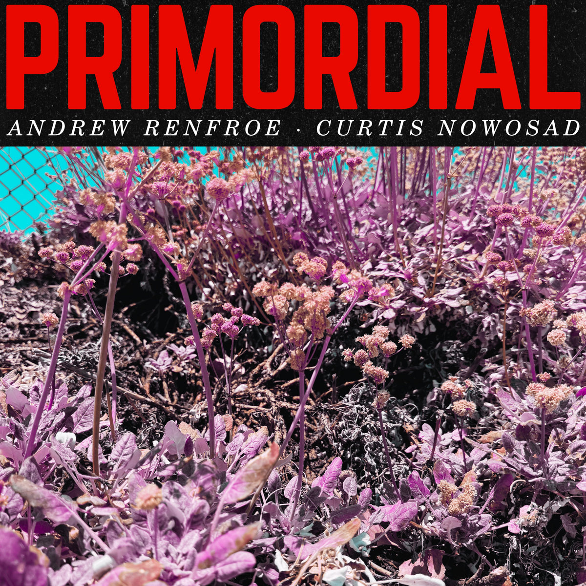 PRIMORDIAL