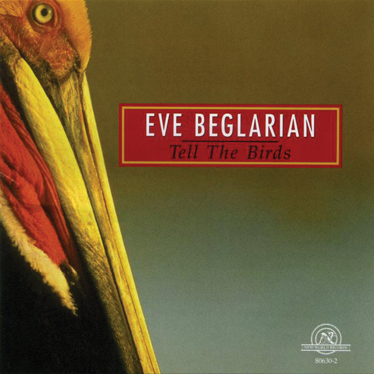 邦楽 BLAHRMY - A REPORT OF THE BIRDSTRIKE LP Tell the Birds | Eve Beglarian | New World Records