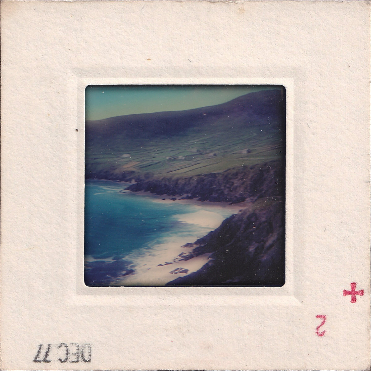 Basking Sharks (off the coast of Narin/Portnoo, Co. Donegal) cover