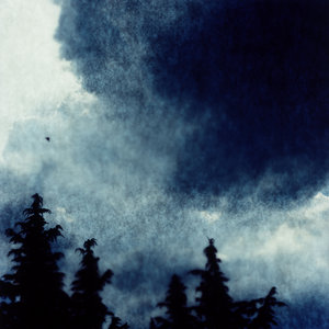 Tenebrous Liar's Last Stand cover