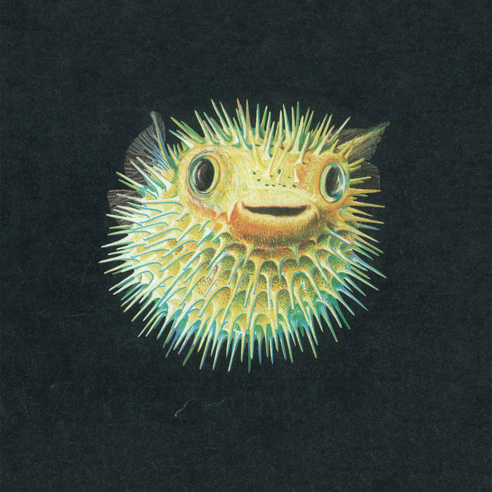 Caspian Sea Monster - s/t | Stargazer Records