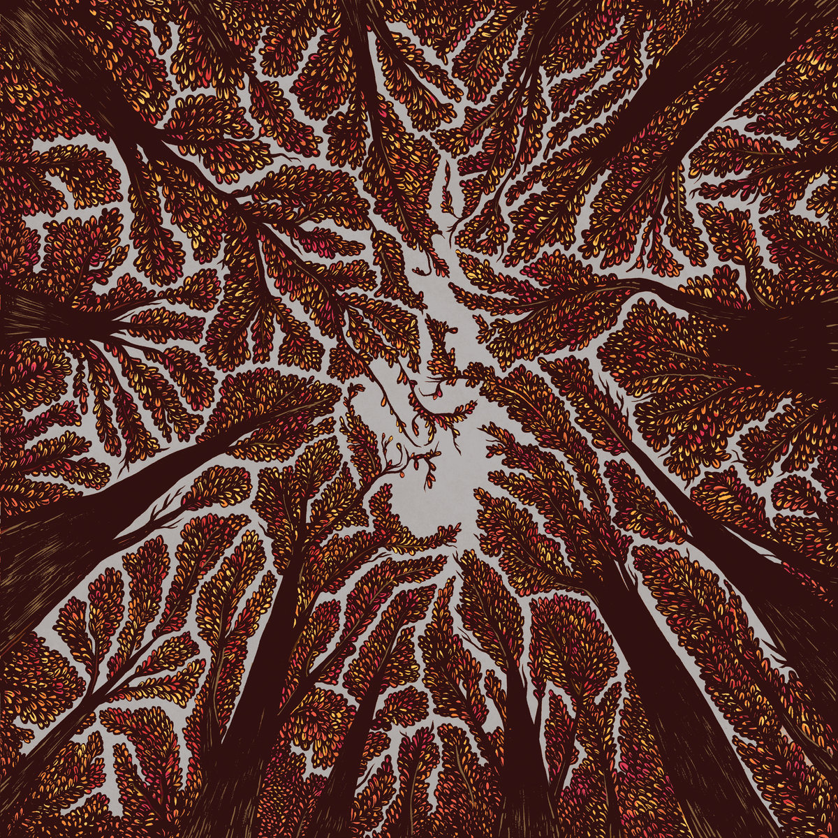 Image result for crown shyness trash boat