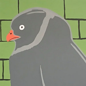 Pigeon cover