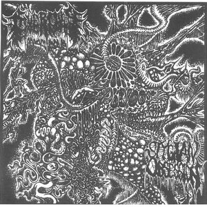 Heralds of Affliction (PLEASE READ)Civerous & Stygian Obsession cover