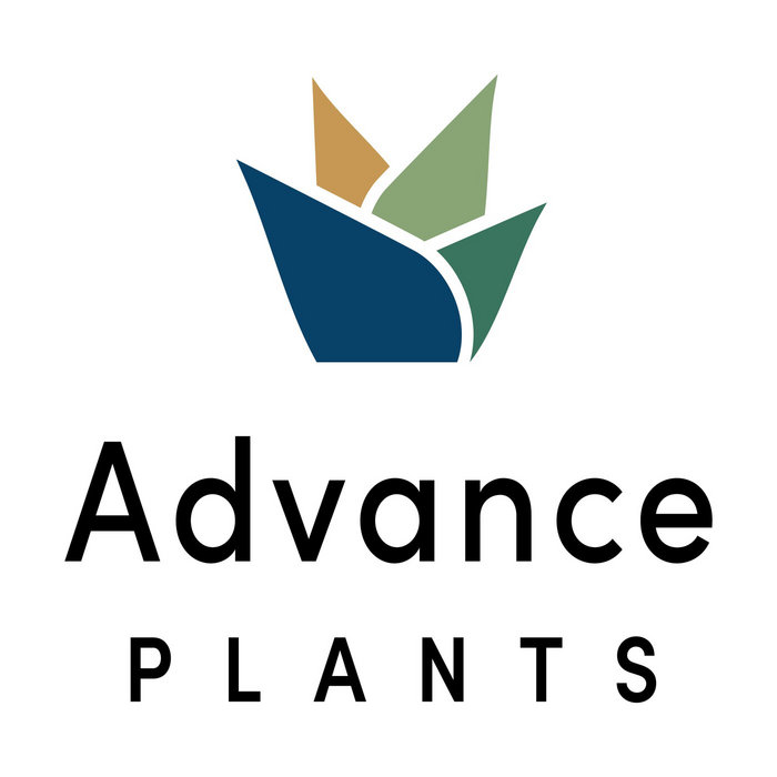 indoor plant hire Gold Coast advanceplantsau