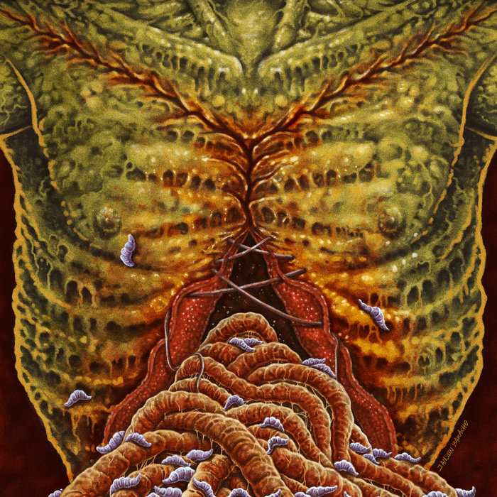 その他 cerebellum processor CF flesh and blood Cerebellum