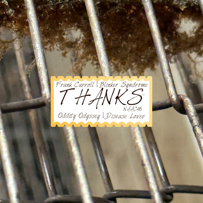 Radical Thanks THANKS | Various Artists | notoriously ambiguous