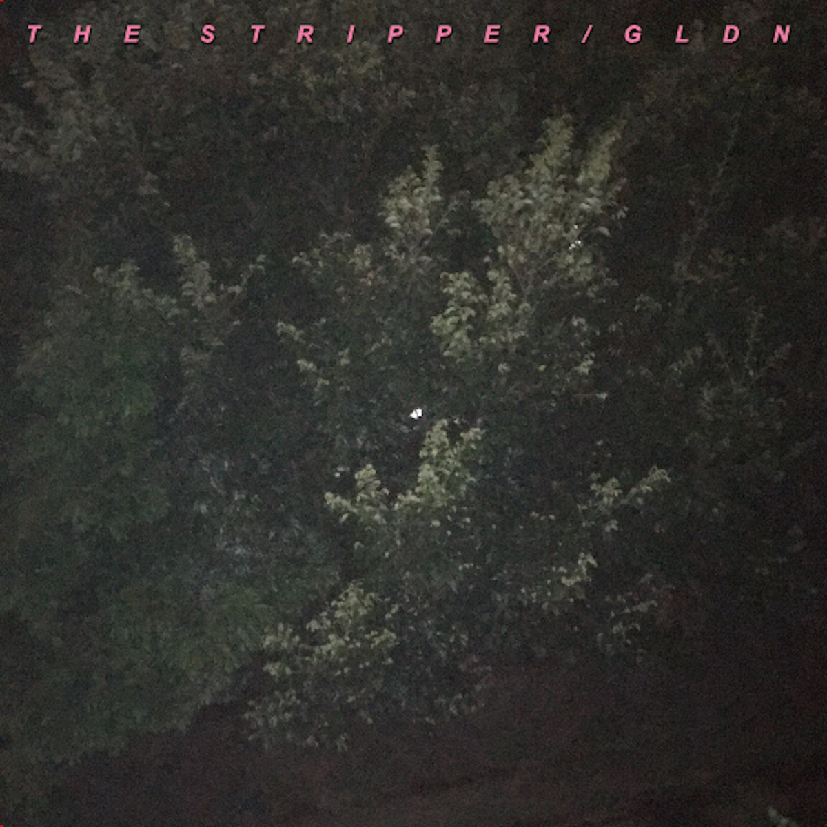 THE STRIPPER | GLDN