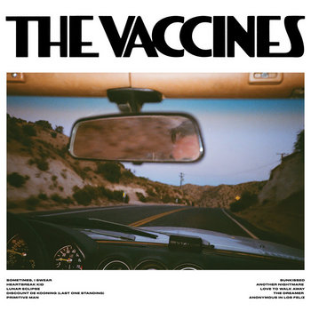 Album artwork for Pick-Up Full Of Pink Carnations