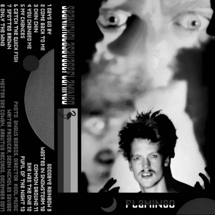 Goodbye Rainbow | Sean Nicholas Savage