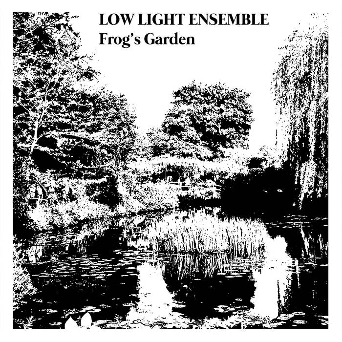 Frog's Garden | Low Light Ensemble | Stereophonk
