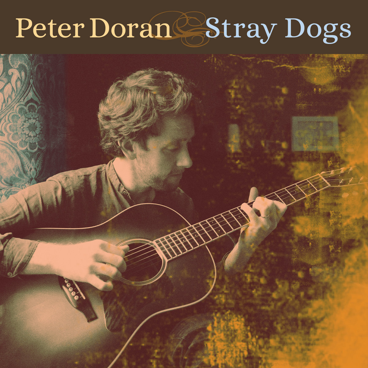 Stray Dogs cover