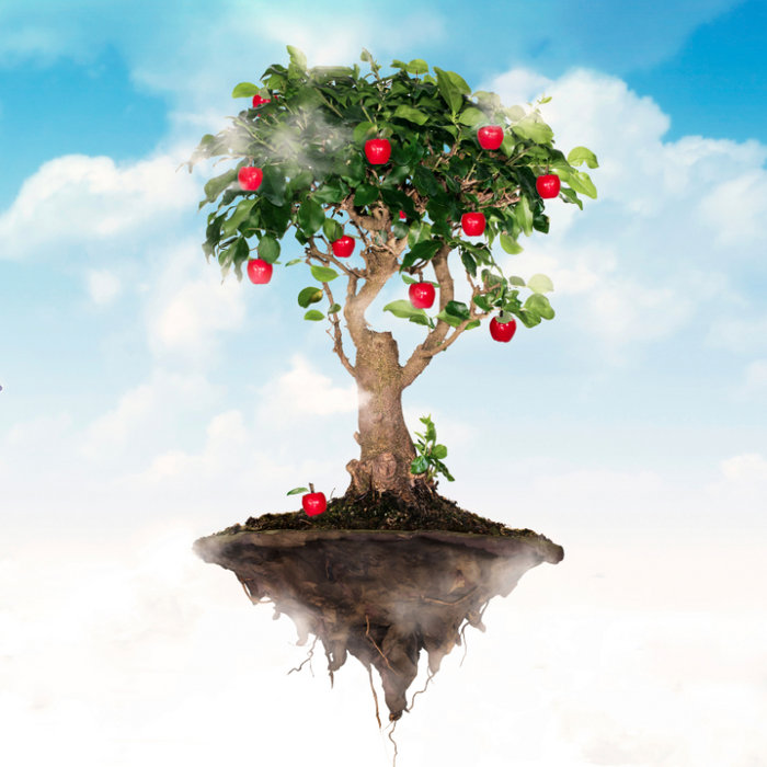 Apple Jack Magic Jack Foster III