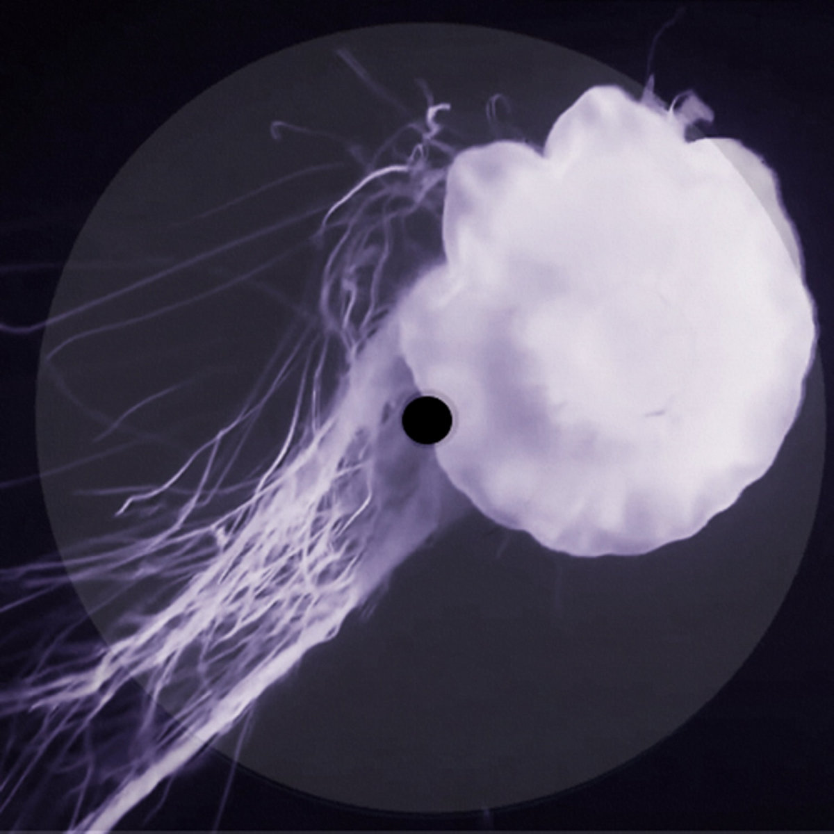 Breath of jellyfish Dmdv