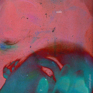 Animal Ghosts — Wake