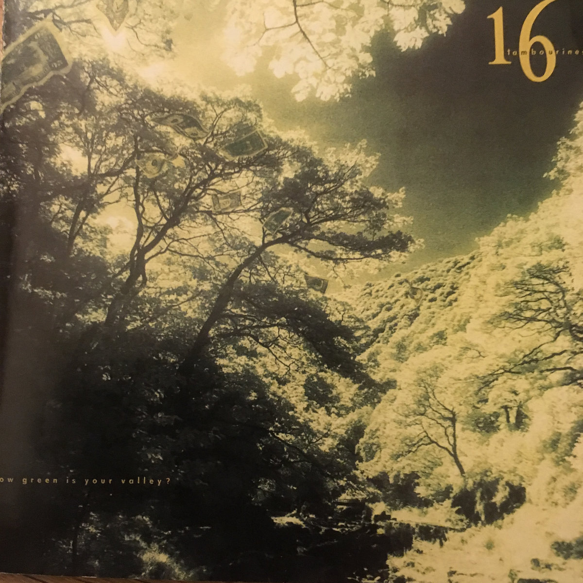 ⑪ 緑華 様 tambourine ⑪ 緑華 様 tambourine ⑪ 緑華 様 tambourine Amazon.com: Half Moon