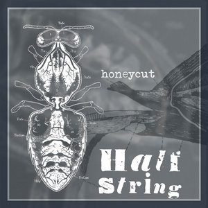 Honeycut (ptp mix) cover