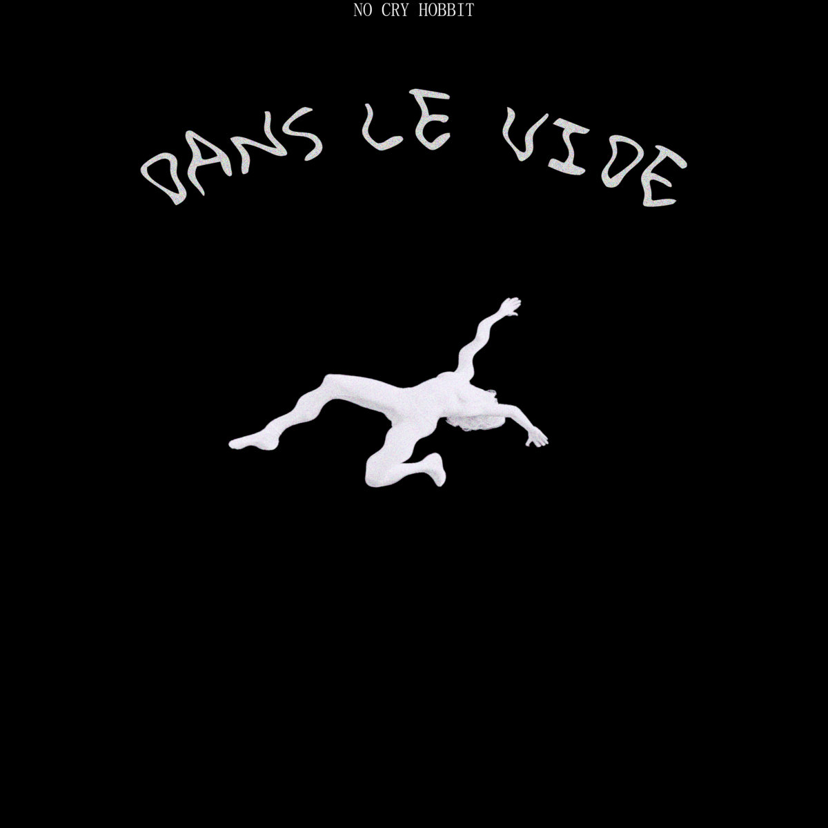 Dans Le Vide cover
