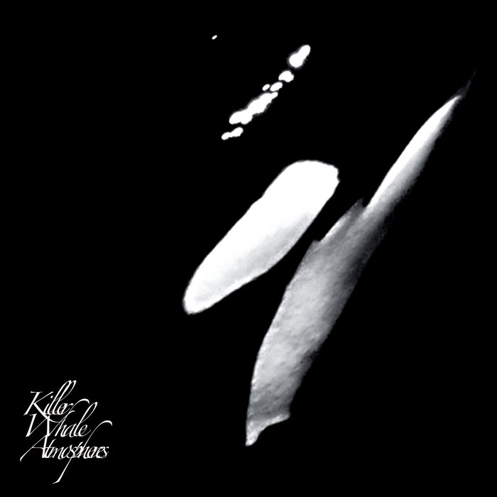 Killer Whale Atmospheres | Rainforest Spiritual Enslavement