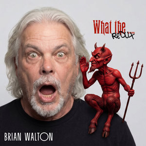 What the .... (Redux) cover