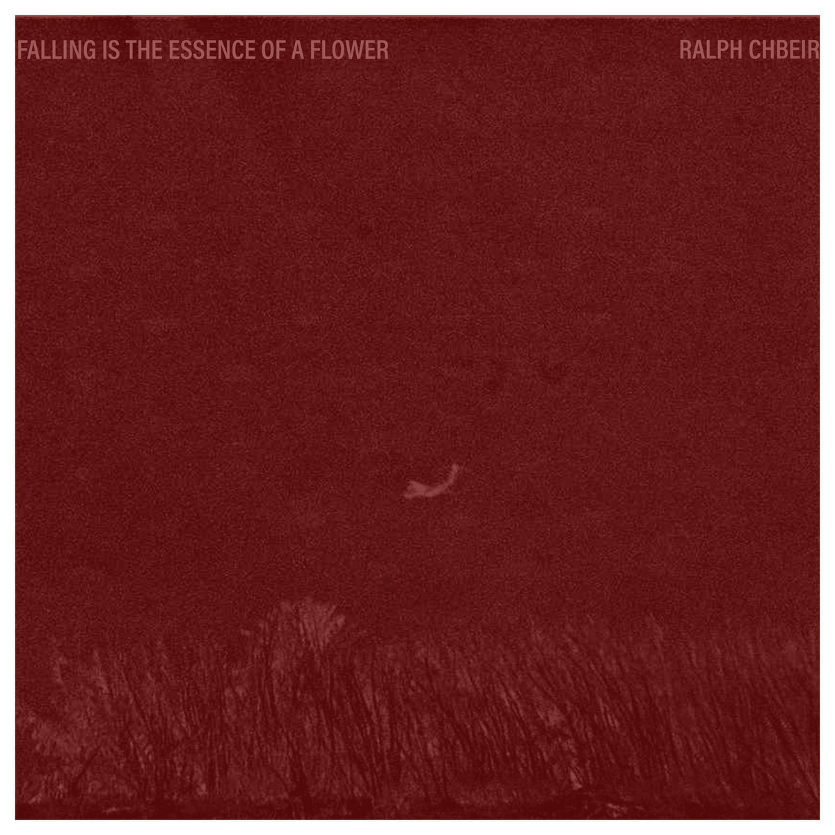 Falling Is The Essence Of A Flower