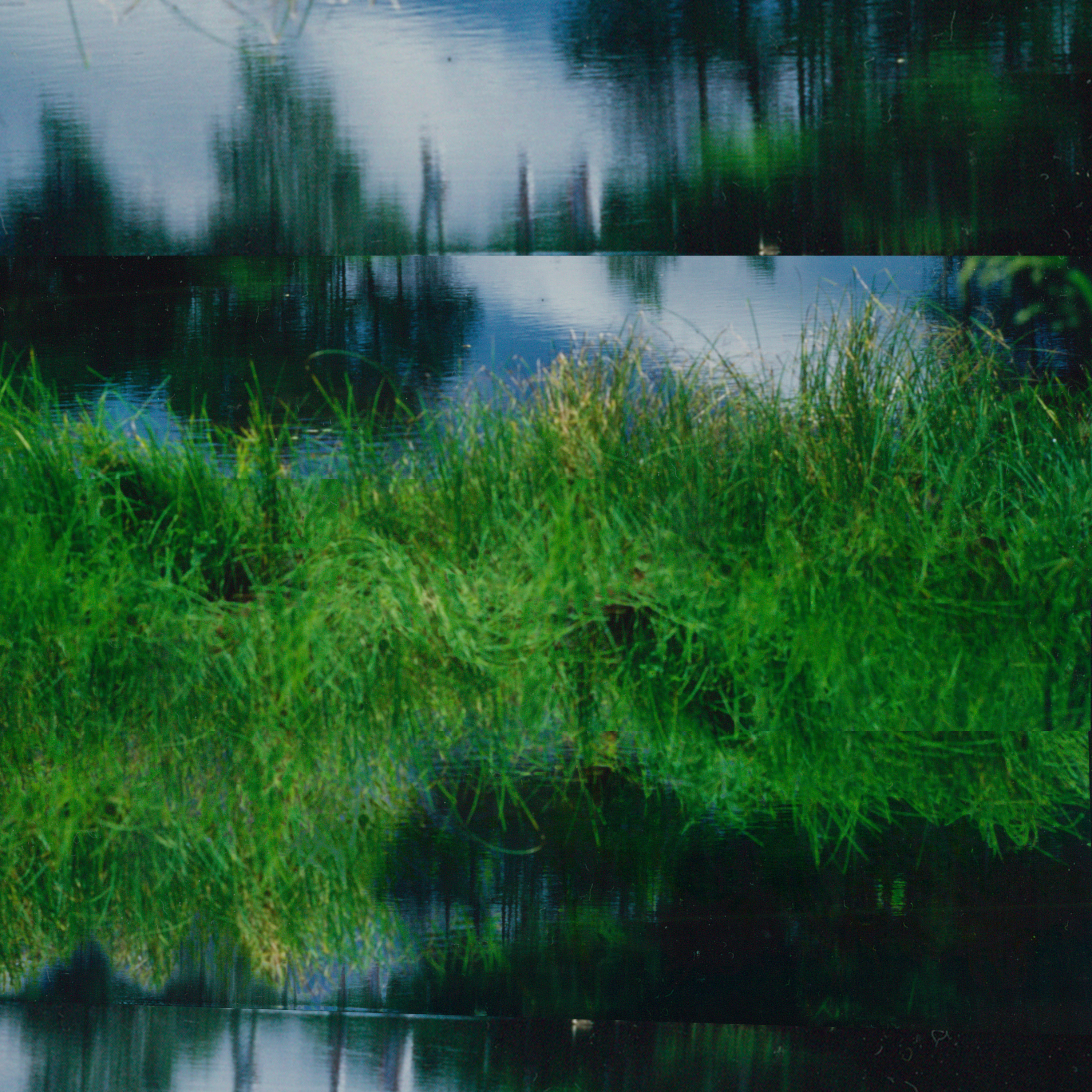 Oyubi — White birch burns