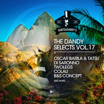 VA - The Dandy Selects Vol. 17 cover art