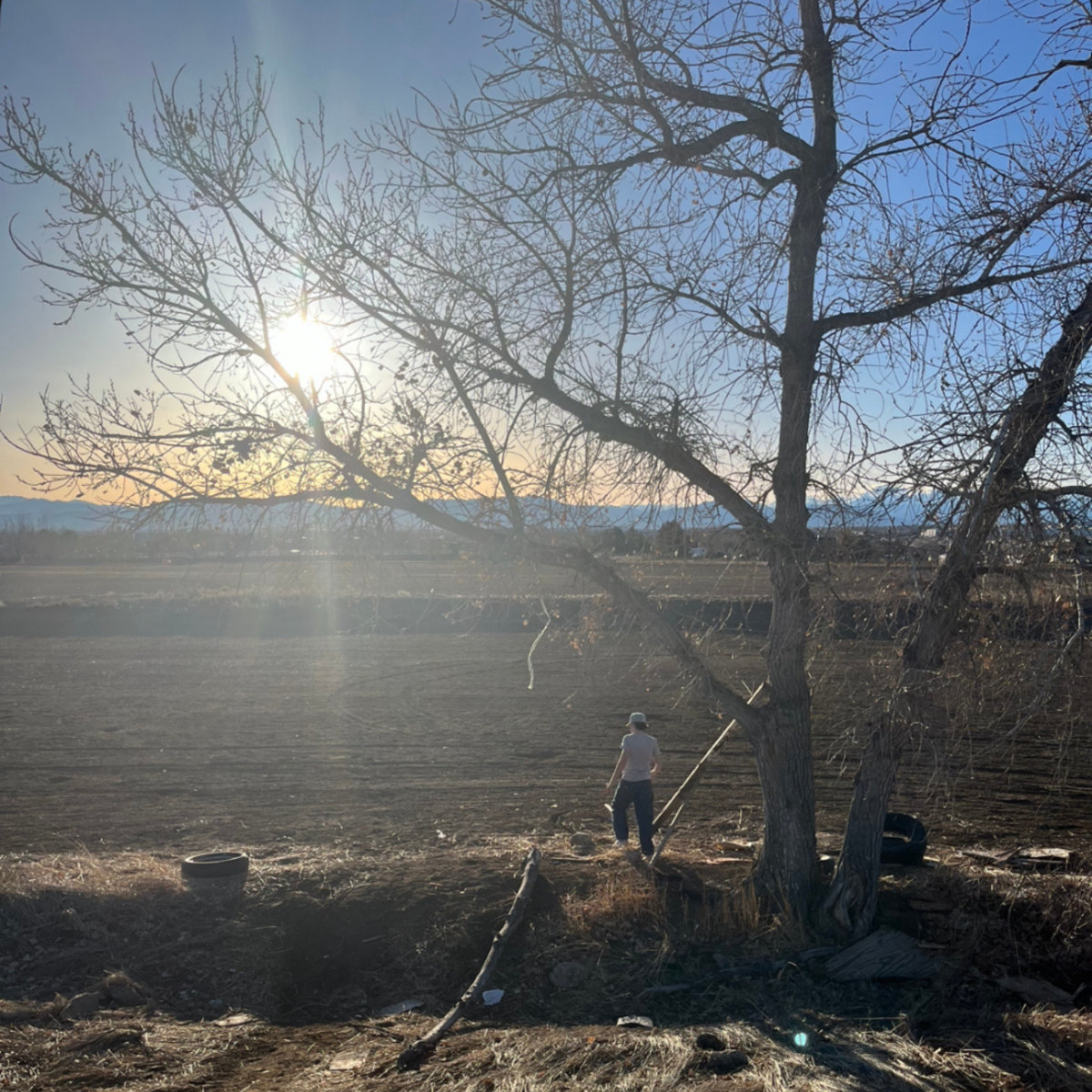 Houses built where the prairie dogs lived