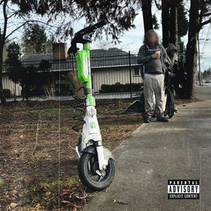 Bird Scooter cover