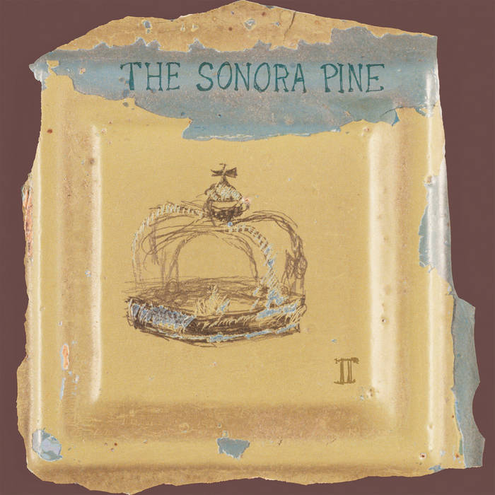 II  The Sonora Pine