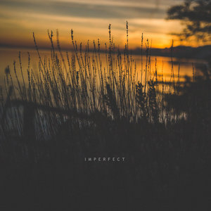 ImperfectVarious artists cover