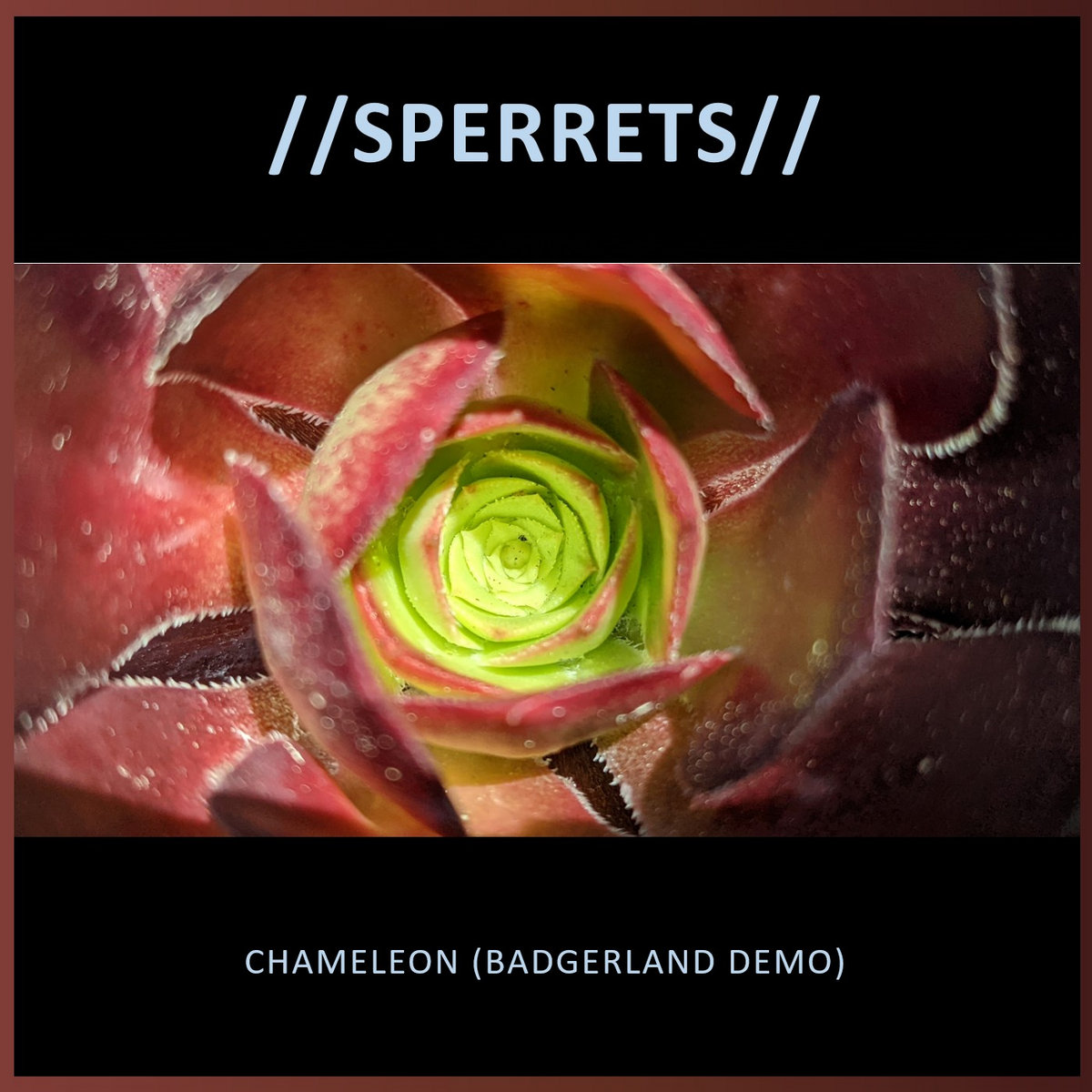 Chameleon cover art