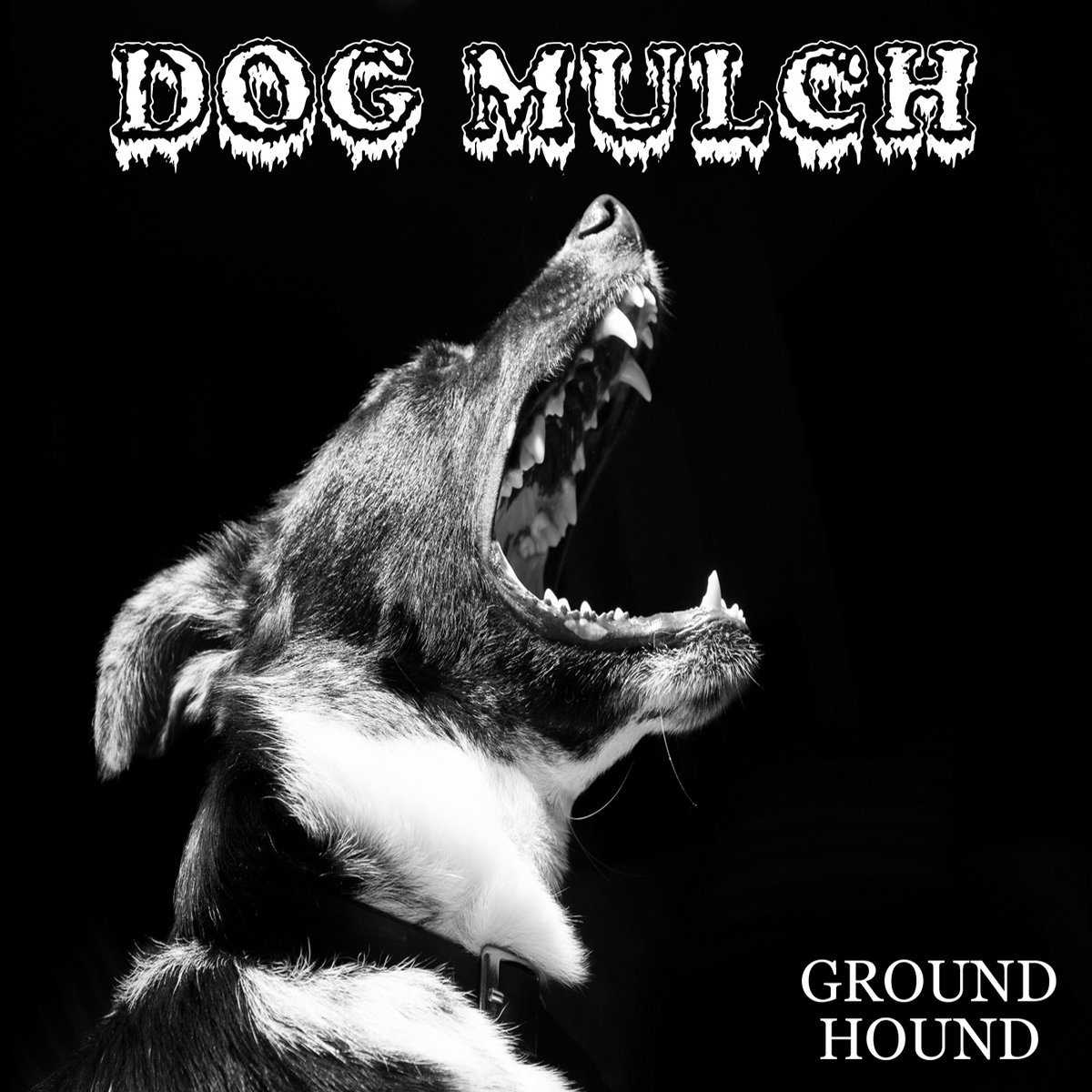 Dog Mulch Ground Hound Macabre Mastermind Records Dog Mulch Ground Hound By Macabre Mastermind Records
