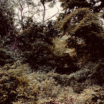 Cover of Cur às don Baistidh