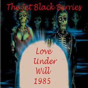 Love Under Will (1985) cover