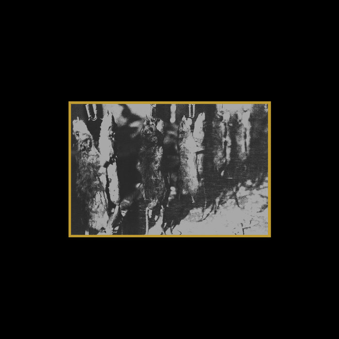 【V.A.コンピ盤】COLD MEAT INDUSTRY Ancient Meat Revived - A Tribute to Cold Meat Industry | Various