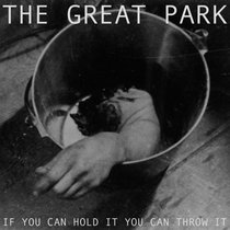 If You Can Hold It You Can Throw It cover art