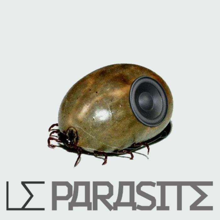 Quels comprimés des parasites dans le foie