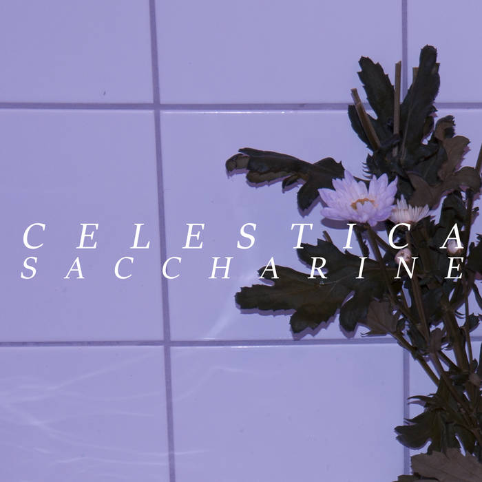 Saccharine Celestica