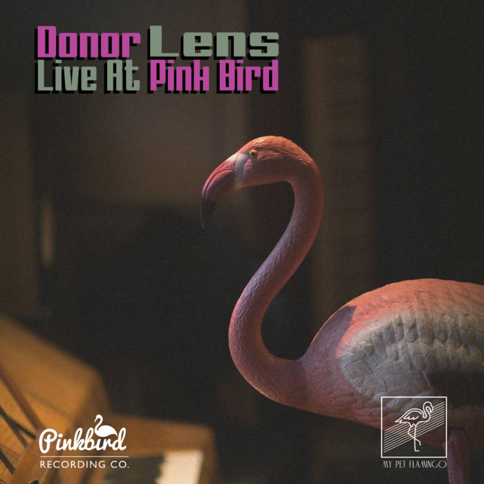 Live hot sale bird store