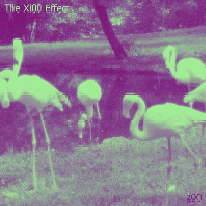 The Xi00 Effect z00 Antistatic