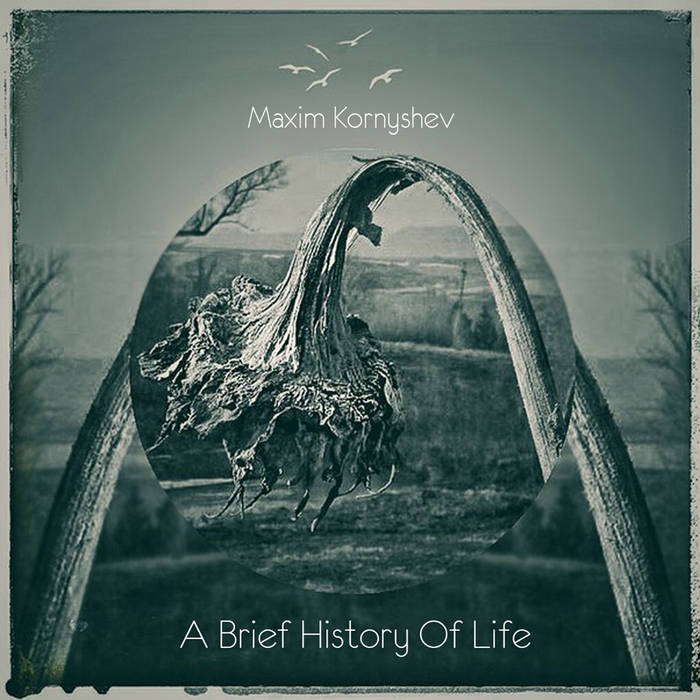 Maxim Kornyshev – A Brief History Of Life
