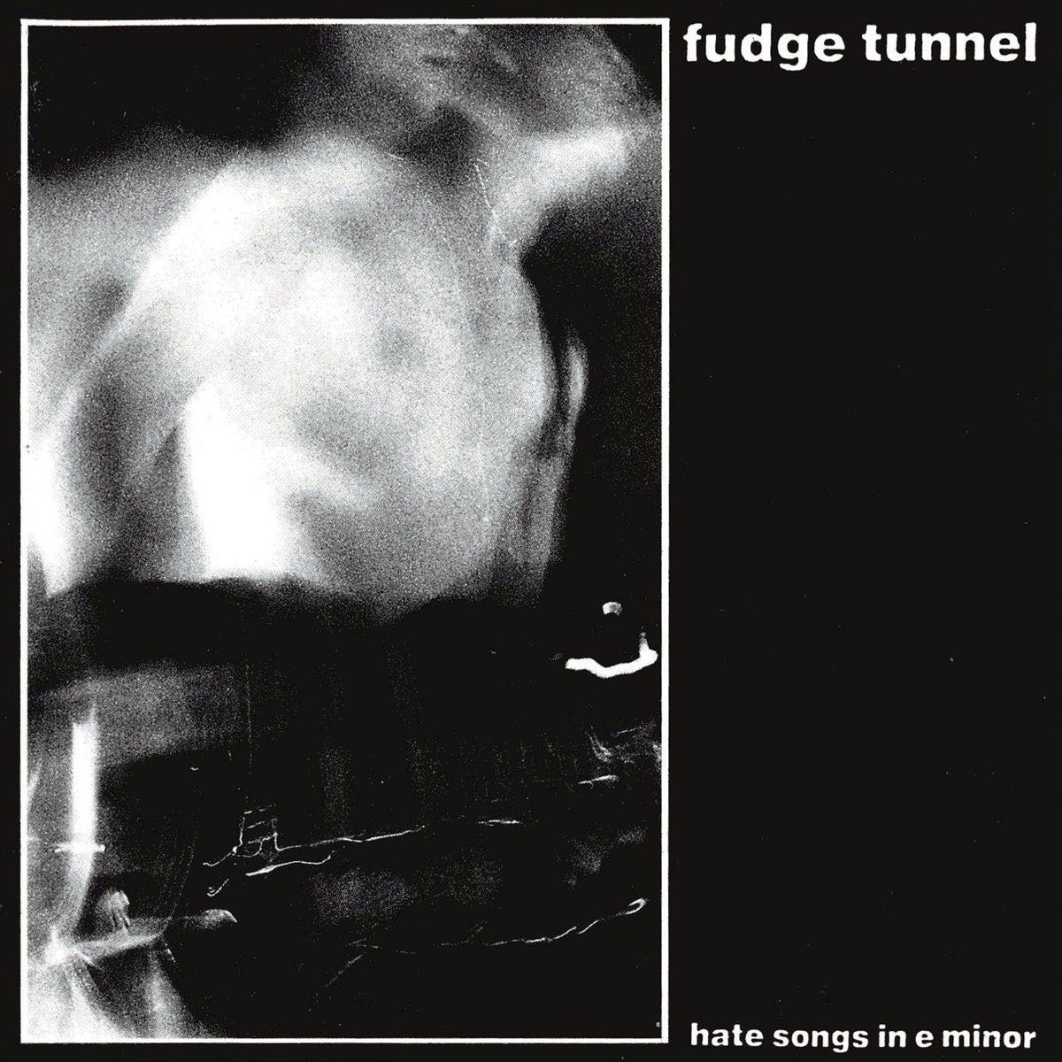 Hate Songs in E Minor | Fudge Tunnel