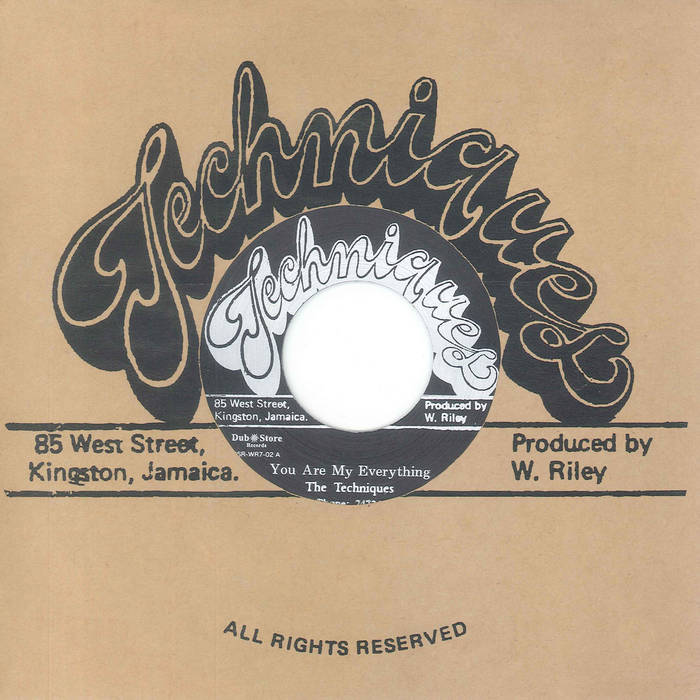 The Techniques You Are My Everything / What Am I To Do Dub Store