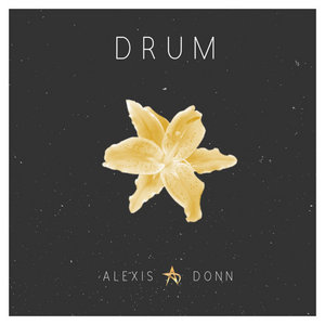 Drum cover
