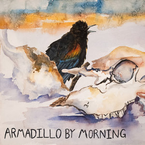 Armadillo by Morning cover