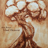 Silent Observer Cover Art